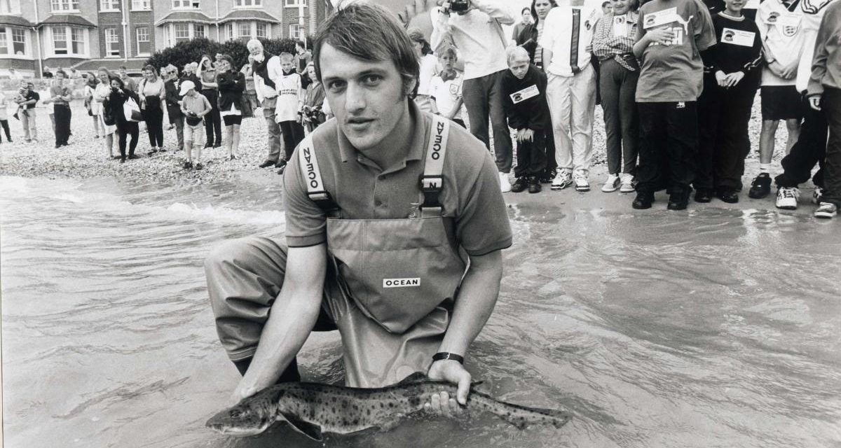 Families invited to join 35th anniversary celebrations at Weymouth SEA LIFE