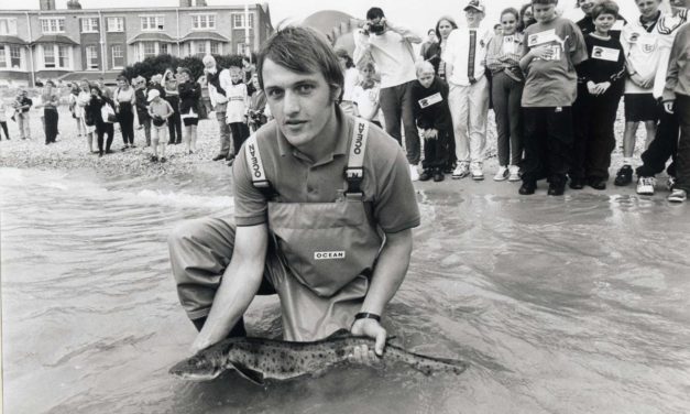 Families invited to join 35th anniversary celebrations at Weymouth SEA LIFE