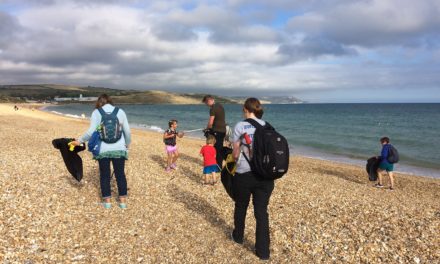 Weymouth SEA LIFE staff and volunteers take on Great British Beach Clean