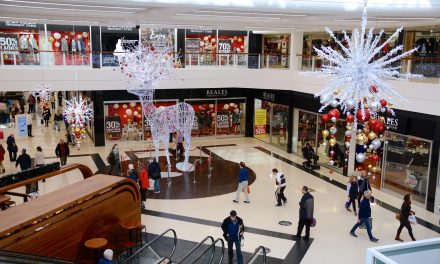 Dolphin Shopping Centre hosts Eco Craft Christmas Fair