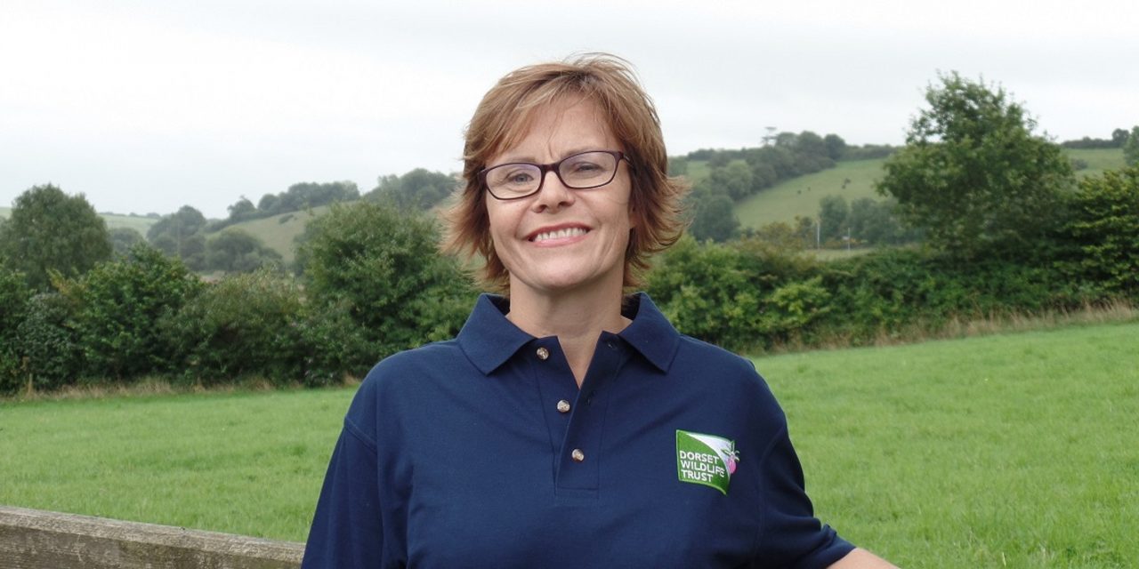 Leading law firm welcomes Dorset Wildlife Trust Officer as guest speaker to Dorchester Business Breakfast