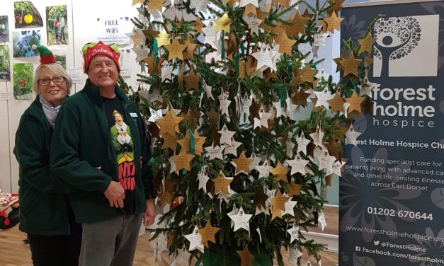 Forest Holme Hospice raises more than £4,000 thanks to iconic remembrance tree at Dolphin Shopping Centre