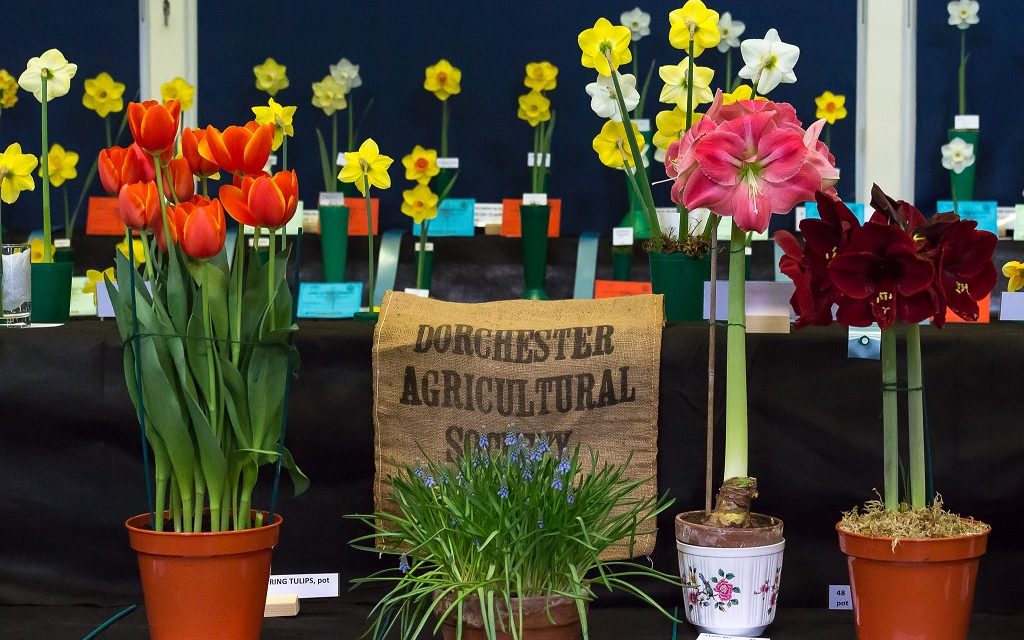 Dorchester Agricultural Society’s Spring Show returns to the county town