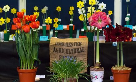 Dorchester Agricultural Society’s Spring Show