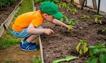 Haskins launches new Facebook page to encourage children to get outside and enjoy gardening