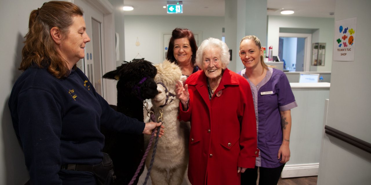 Great Oaks welcomes some furry visitors in aid of National Pet Month