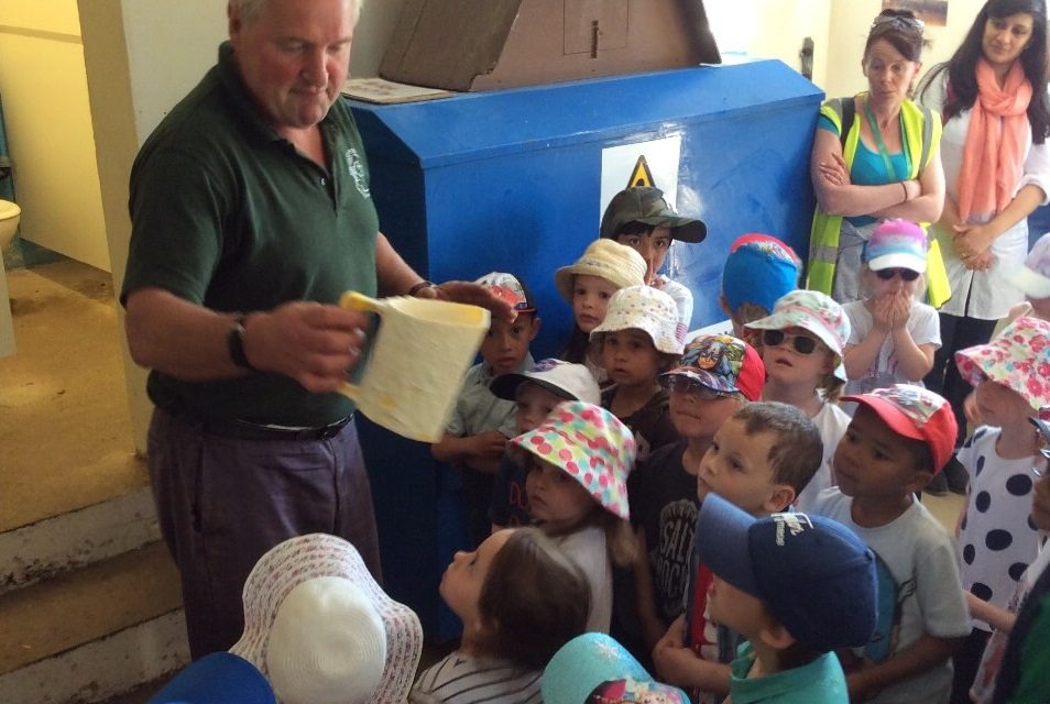 Dorset County Show celebrates four years of providing local schools with farm visits
