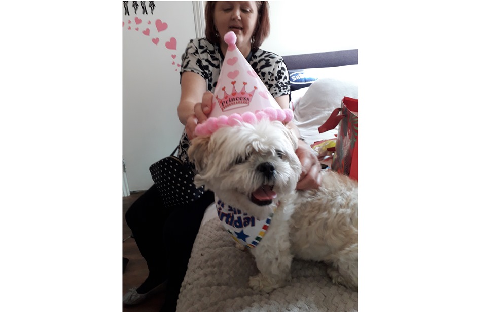 Pawsitively swell party for man’s best friend at Plymouth care home