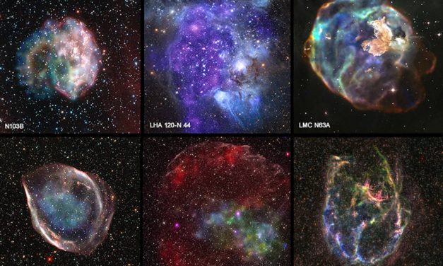 Combing Through The “X-Ray Files”