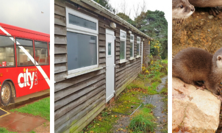 First 2020 Well Built Community Fund finalists are chosen