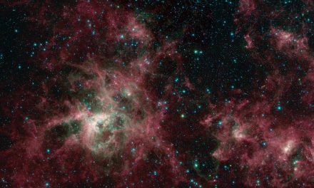 Spitzer’s View of the Tarantula Nebula