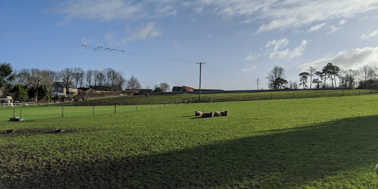 Planning appeal allows 32 homes at Butleigh