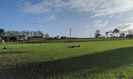Planning appeal allows 32 homes at Butleigh