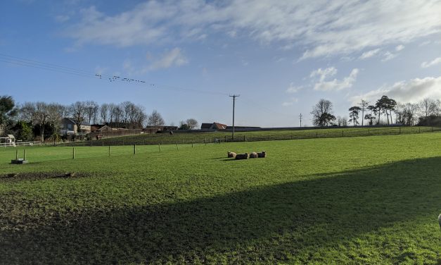 Planning appeal allows 32 homes at Butleigh