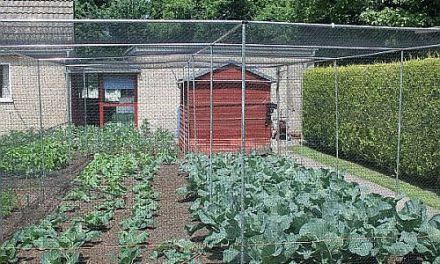 STROUD BUSINESS IS BLOOMING AS GARDENERS GO GREEN