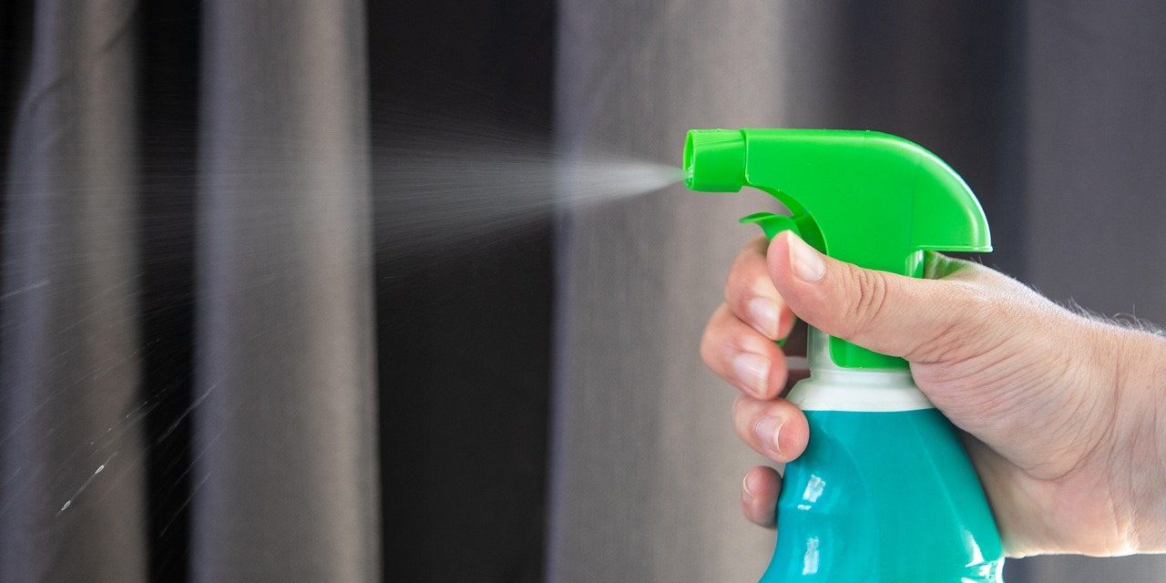 How To Remove Bed Bugs