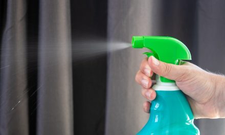 How To Remove Bed Bugs