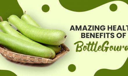Amazing Health Benefits of Bottle Gourd