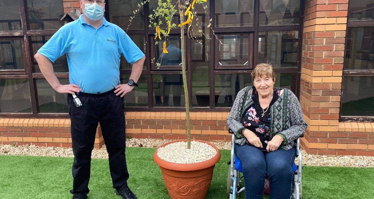 TAUNTON CARE HOME PLANTS PANDEMIC MEMORIAL TREE