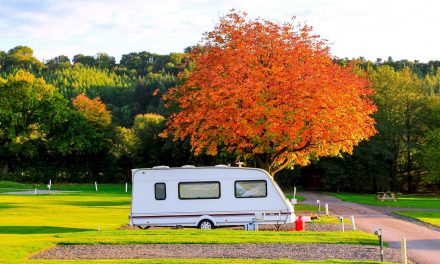 Caravan warning as staycation surge entices first-timers to hit the road