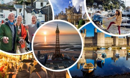 New holiday company helps South West holiday-makers cut emissions