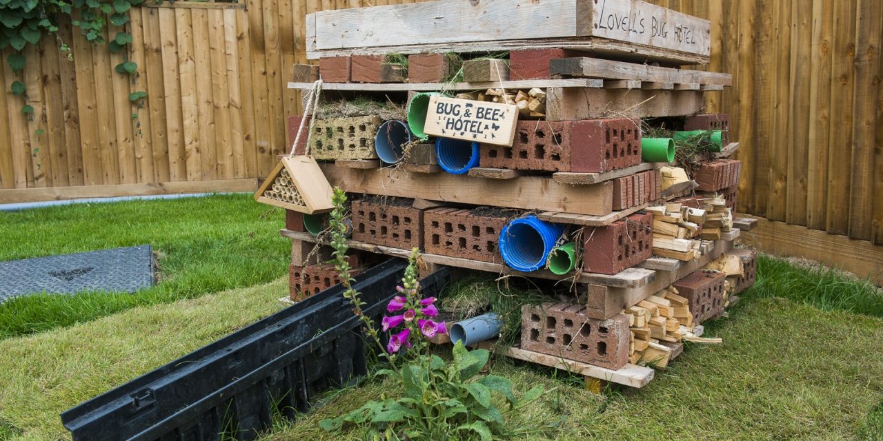 Developer supports local wildlife by building bee and bug hotel at Weston-super-Mare development