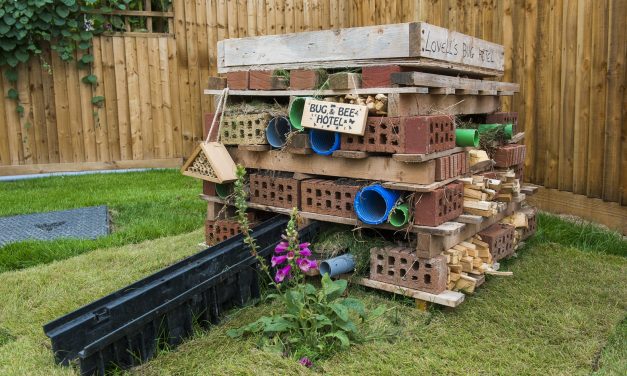 Developer supports local wildlife by building bee and bug hotel at Weston-super-Mare development