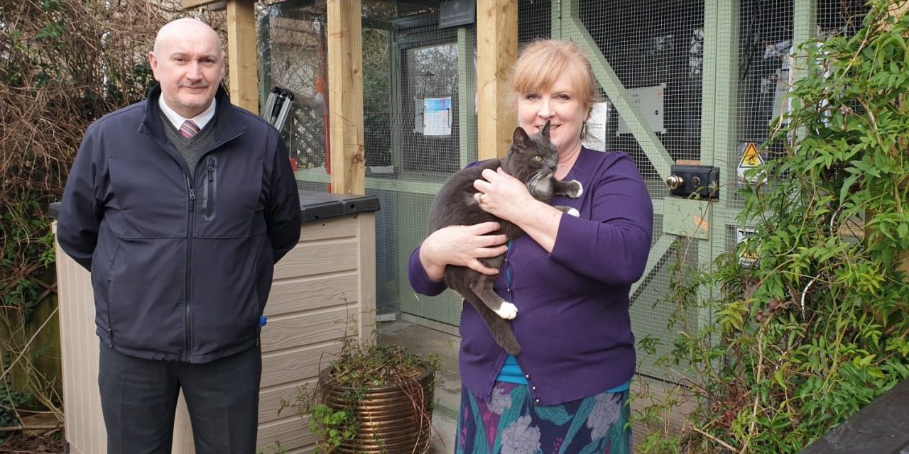 Torquay cat rescue charity voted as a Surprise Supplies winner