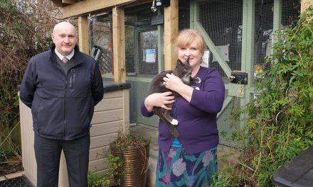 Torquay cat rescue charity voted as a Surprise Supplies winner