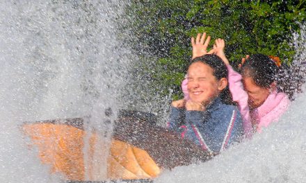 Summer Holidays at Flambards