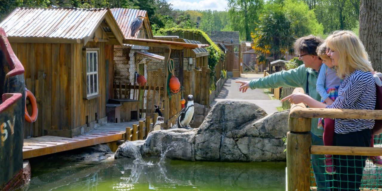 Summer of Feathered Fun at Birdland