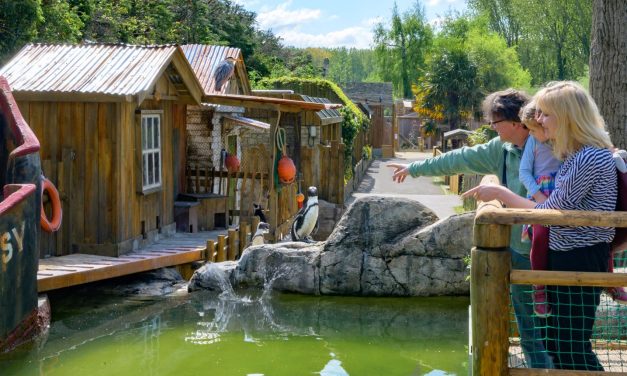 Summer of Feathered Fun at Birdland