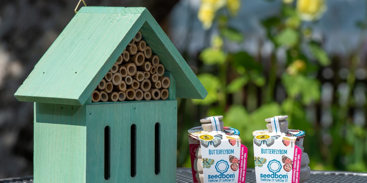 SPREAD YOUR WINGS: TOP TIPS TO HELP BUTTERFLIES IN BERKSHIRE THIS SUMMER