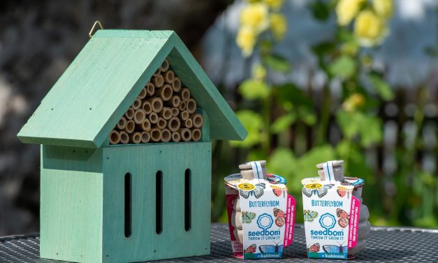 SPREAD YOUR WINGS: TOP TIPS TO HELP BUTTERFLIES IN BERKSHIRE THIS SUMMER