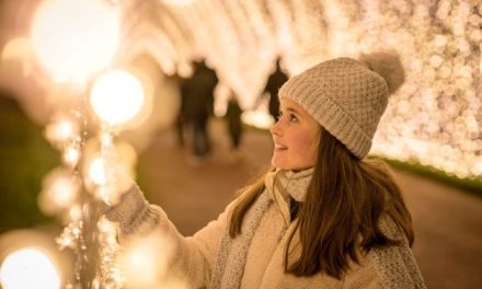 Christmas Lights at Leeds Castle