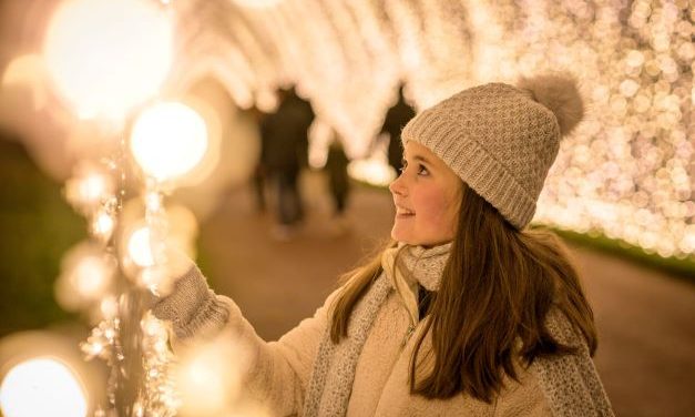 Christmas Lights at Leeds Castle