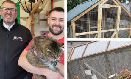 Animals benefit from renovated homes thanks to south west builders merchant