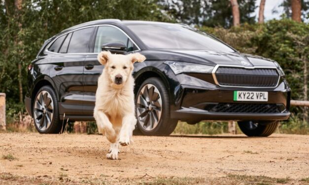 Anything is paw-sible as Škoda is confirmed as Official Automotive Partner of Crufts