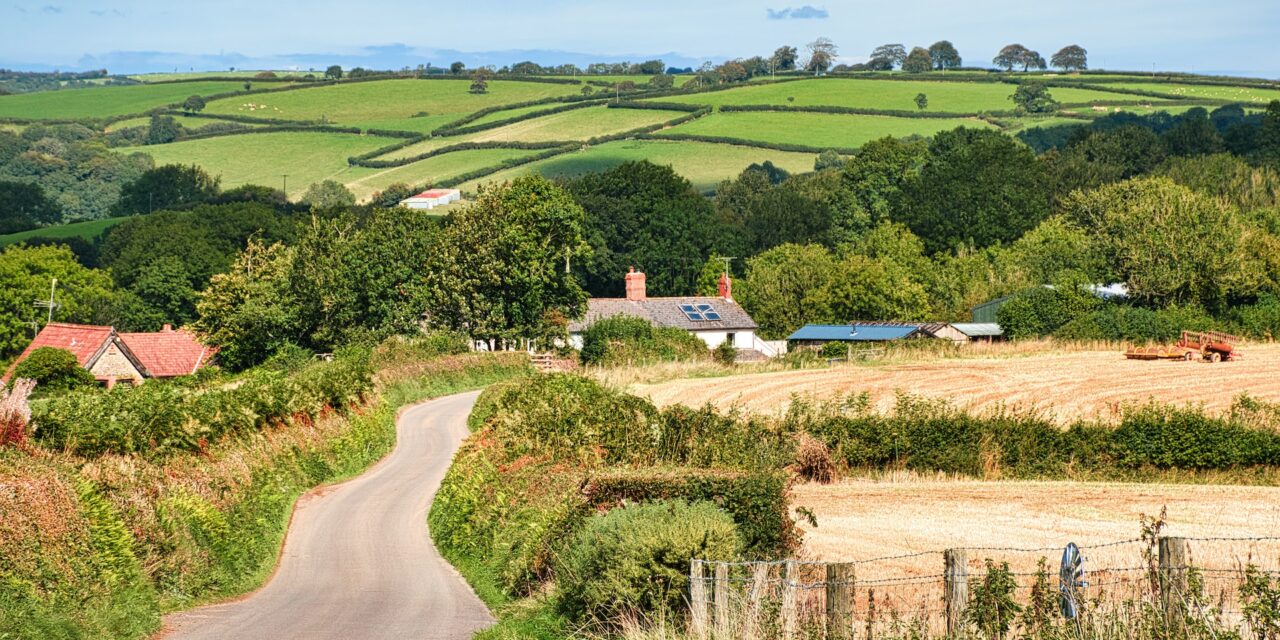 What to Do in Devon This Summer