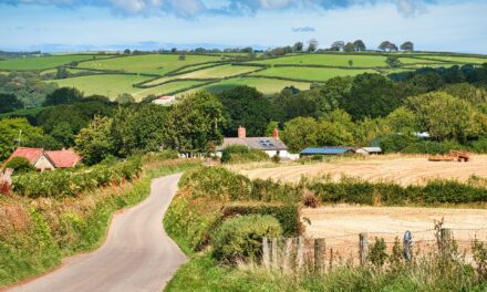 What to Do in Devon This Summer