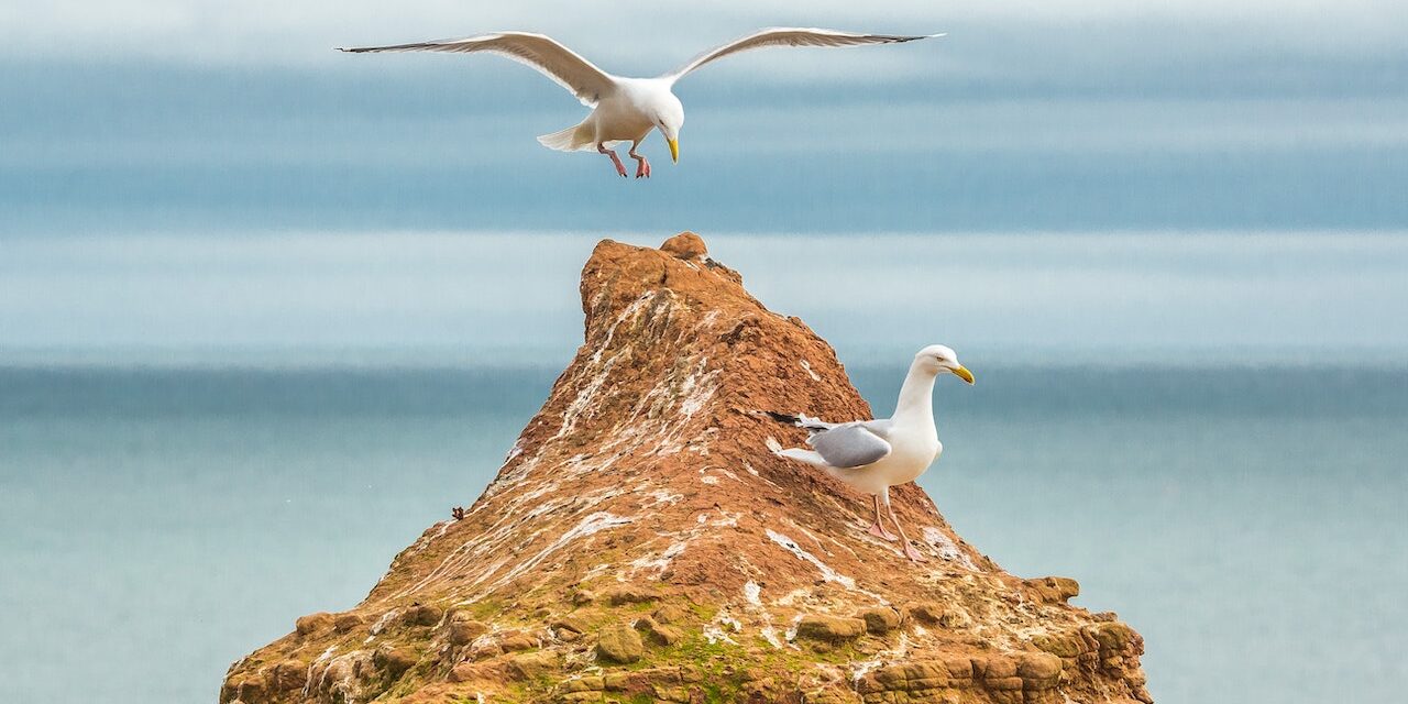 Adventures for Kids in Devon