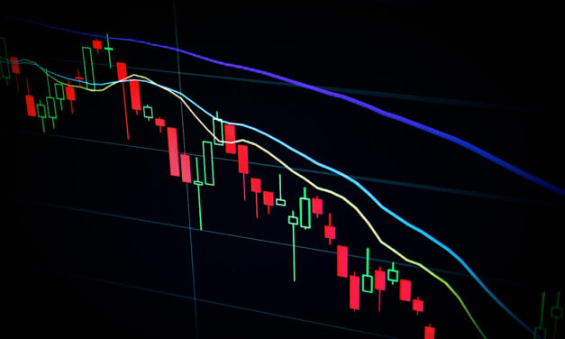 Factfile: USD Coin