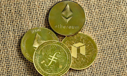 Fact File: MultiversX Coin