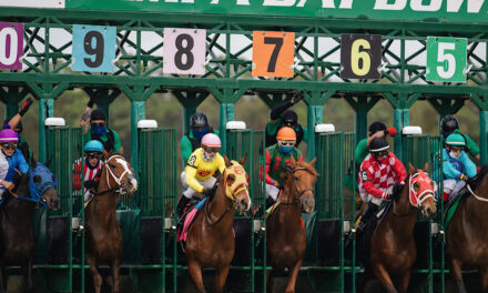 The Horse Racing Courses in South East England