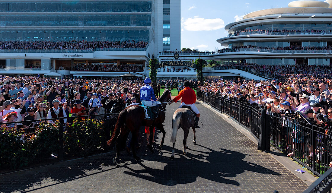The Horse Racing Courses in Yorkshire