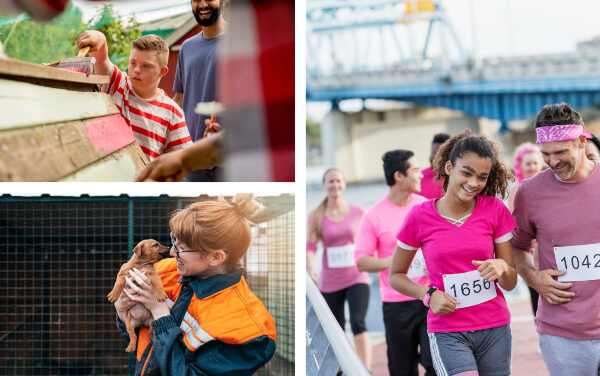 63 new charities launch in Devon – insurance specialist advises long-term planning for success