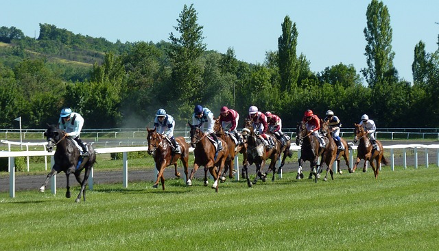 Exploring the Thrilling Horse Racing Tracks of Southern England: A Comprehensive Guide
