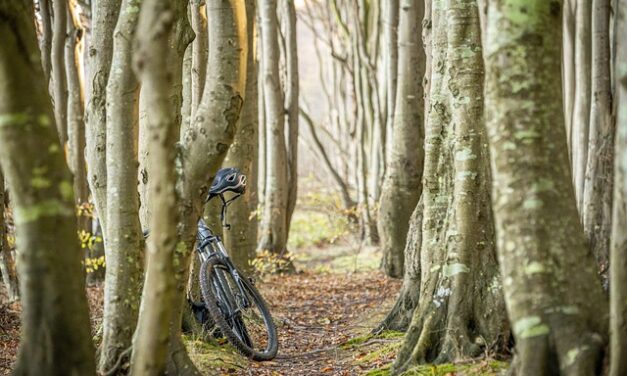 Bike Week 2024: A Celebration of Cycling and Community
