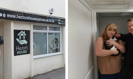 Cats kept ‘purr-fectly’ cosy thanks to builders merchant donation