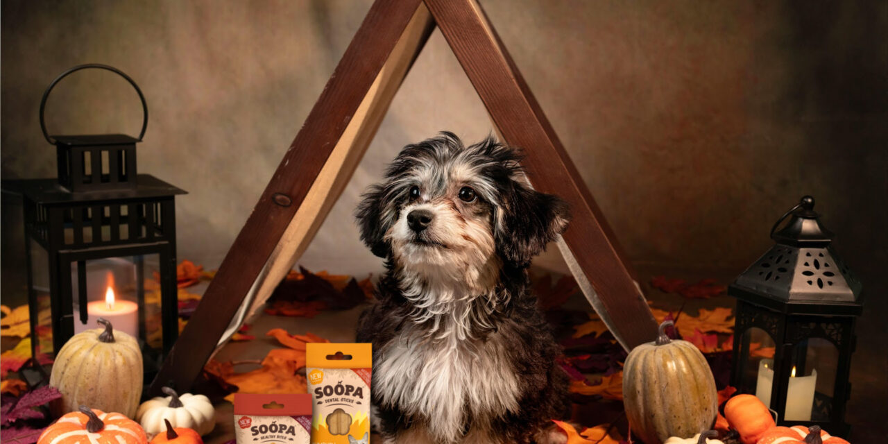 Pumpkin Spice And All Things Nice!